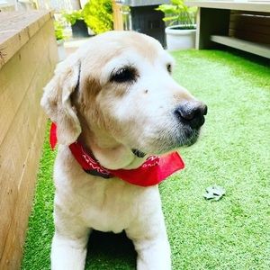 Meet your Posher, Scott